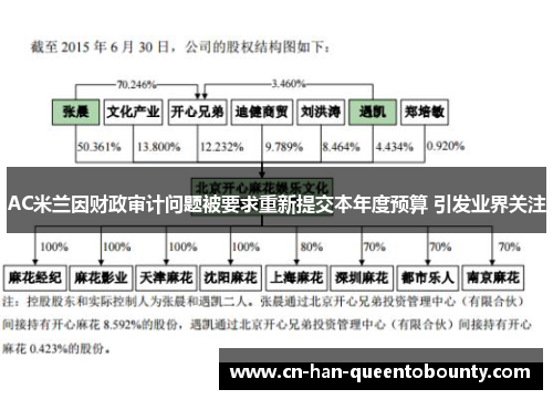 AC米兰因财政审计问题被要求重新提交本年度预算 引发业界关注